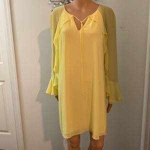 Beautiful Yellow Ruffle Sleeve Dress